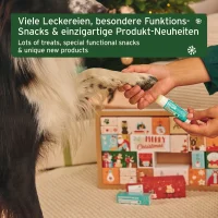 Premium Adventskalender f&uuml;r Hunde