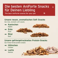 Snack-Adventskalender f&uuml;r Katzen