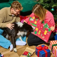 Adventskalender f&uuml;r Hunde