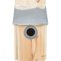 Nistkasten für Stare, Kiefernholz, 18 × 31...