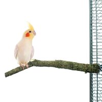 Natur Kork Sitzstange Small
