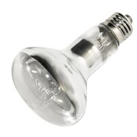 UV Eco vital 70W (Mischlichtlampe)