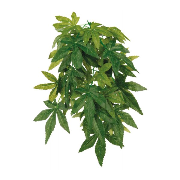 Trixie Seiden-Hängepflanze Abutilon 30cm
