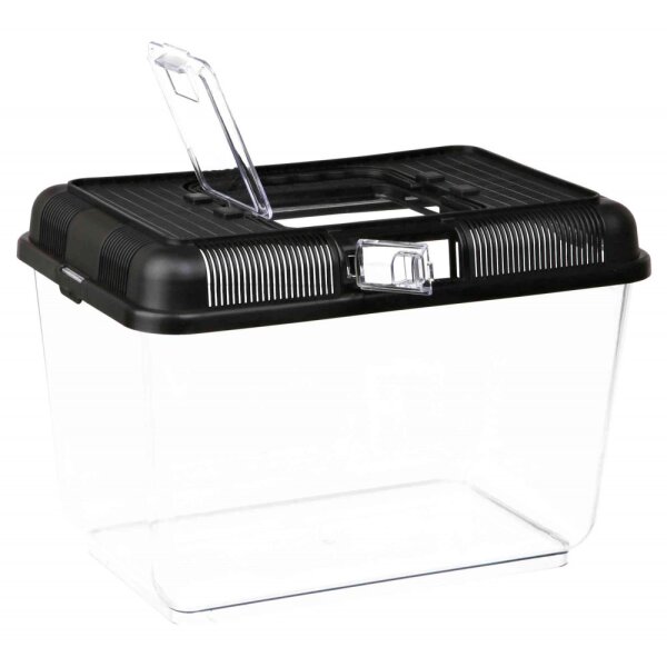Transport- und Fütterungsbox L
