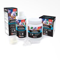 Foundation C Magnesium (Mg), 1000ml