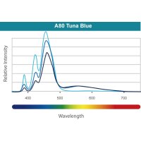 Kessil LED A80 Tuna Blue