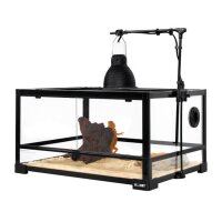 Terra Fix &amp; Easy Lamp Holder
