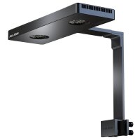 spectrus holder BW