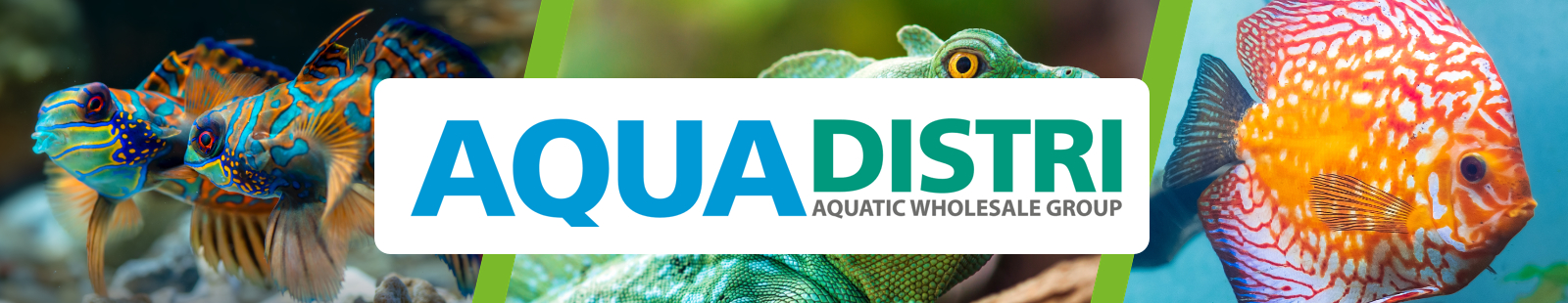 Aquadistri.jpg
