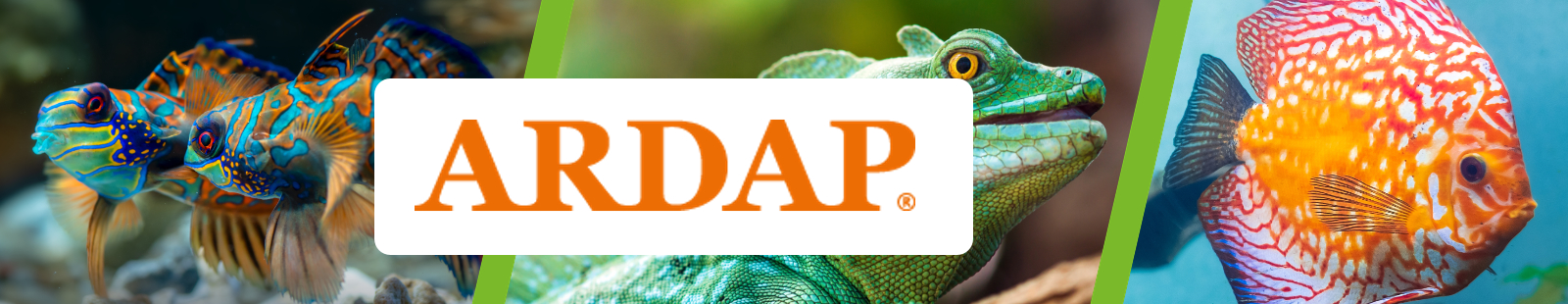 Ardap.jpg