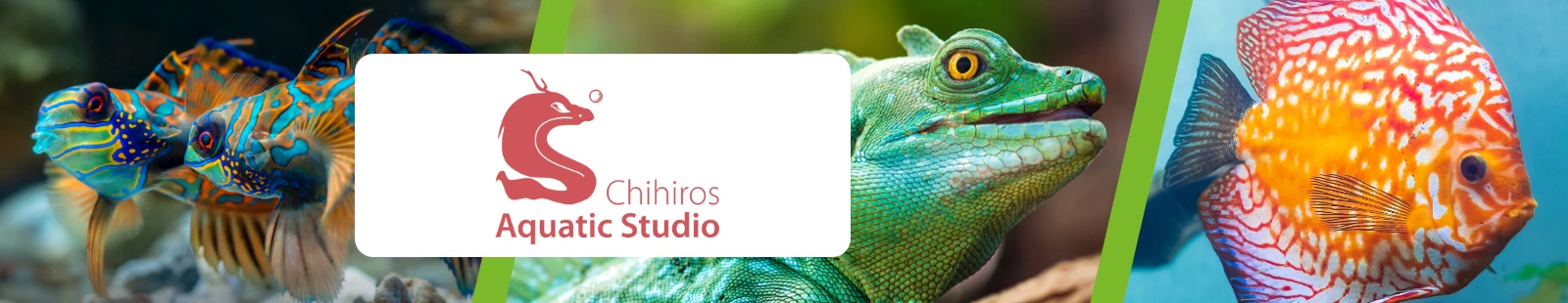 Chihiros_Banner.webp