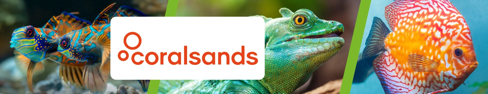 Coralsands_Banner.webp