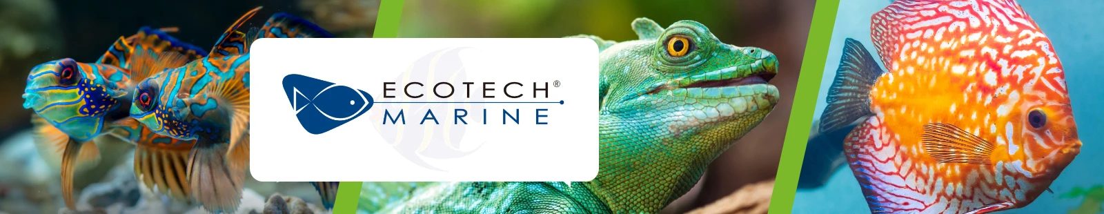 EcotechMarine_Banner.webp