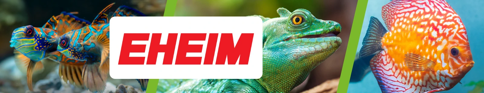 Eheim_Banner.webp