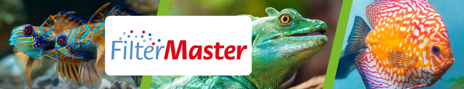 FilterMaster_Banner.webp