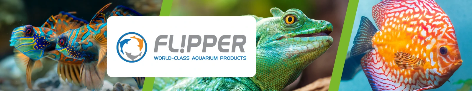 Flipper_Banner.webp