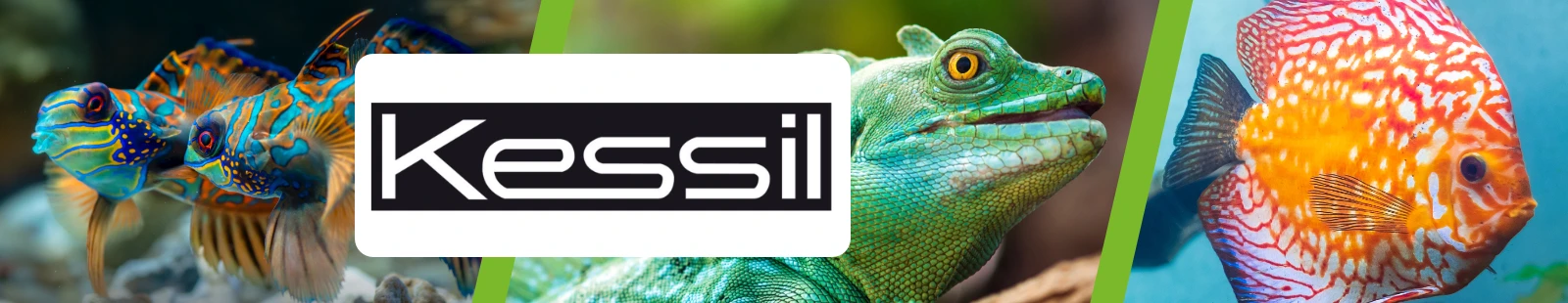 Kessil_Banner.webp