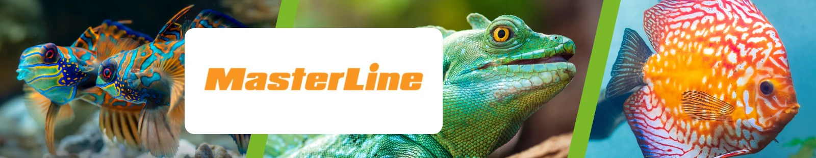 MasterLine_Banner.webp