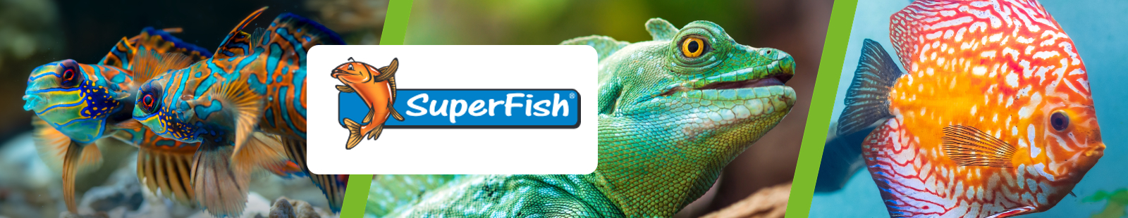 Superfish.jpg