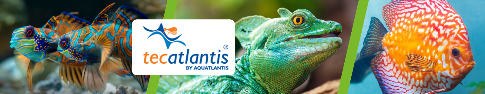 Tecatlantis.jpg