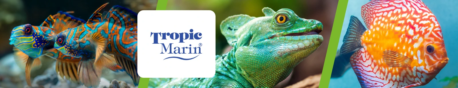 TropicMarine_Banner.webp