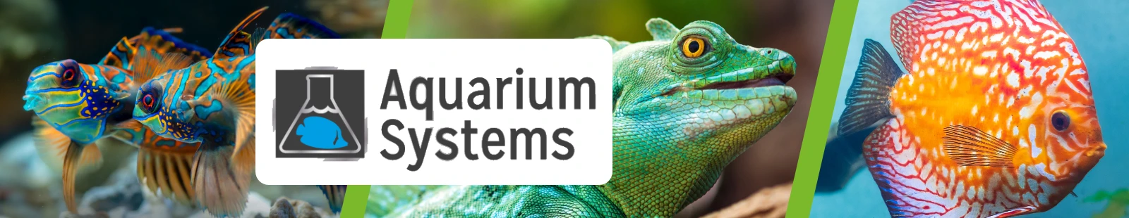 aquarium_systems_Banner.webp