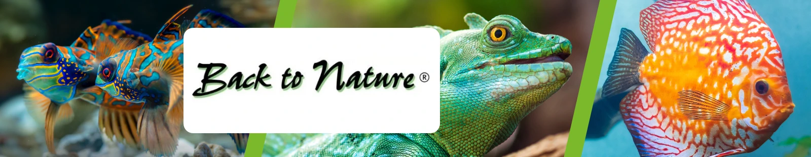 back-to-nature_Banner.webp