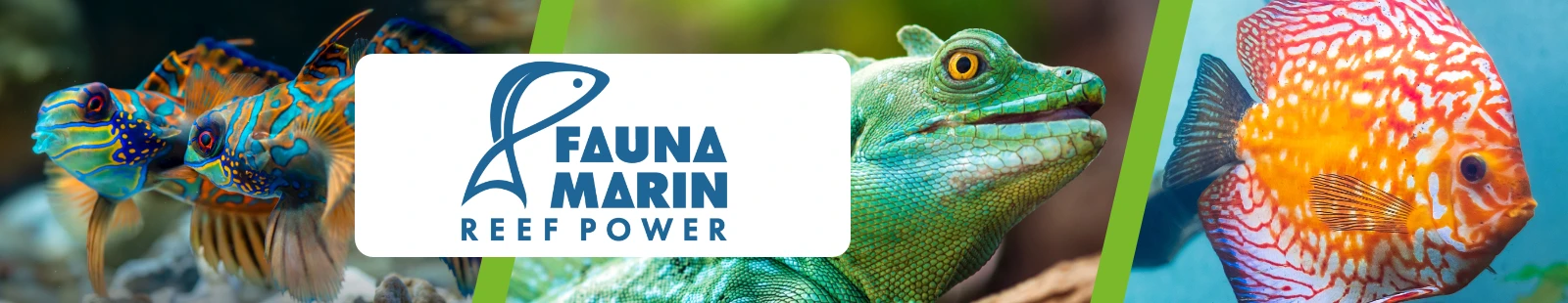 faunamarin_Banner.webp