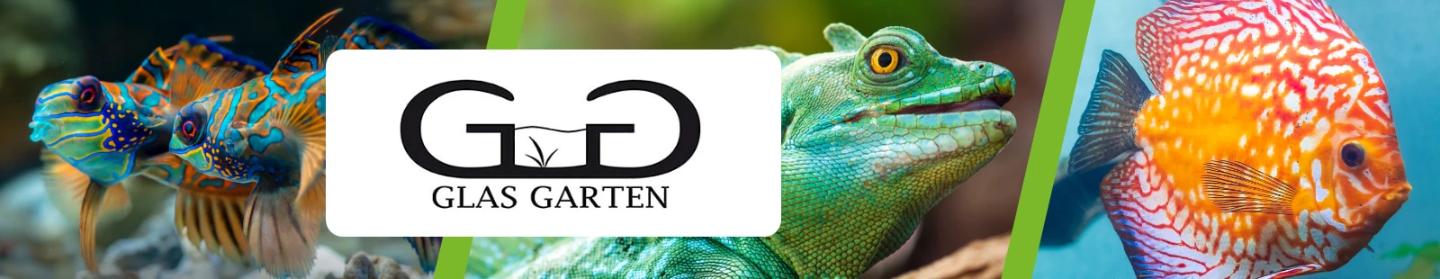 glasgarten_Banner.webp