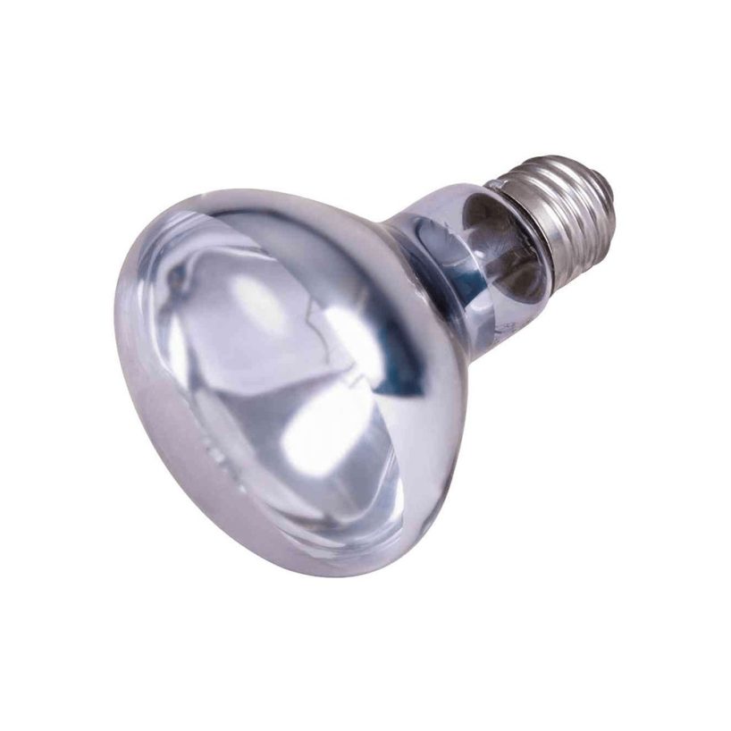 Neodymium-Wärme-Spot-Lampe 100 W Lampe
