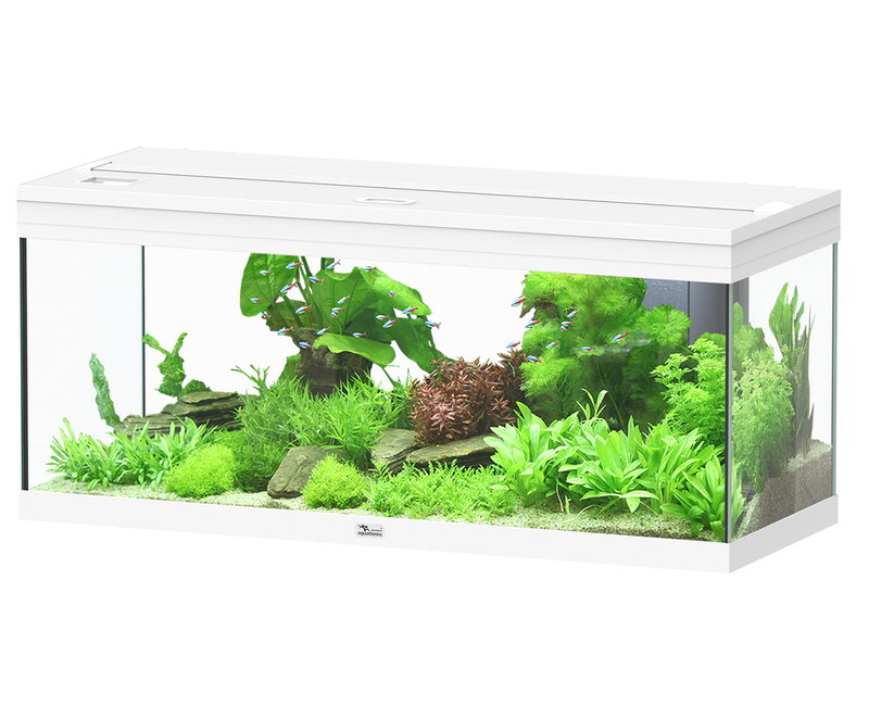 Neue Aquatlantis LED-Leiste für Aquarium