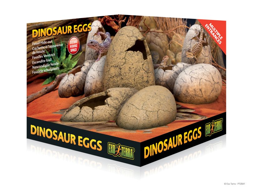 Exo-Terra_Dinosaur-Eggs